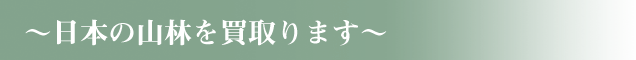 東京都中央区の不動産会社 タクト・エム